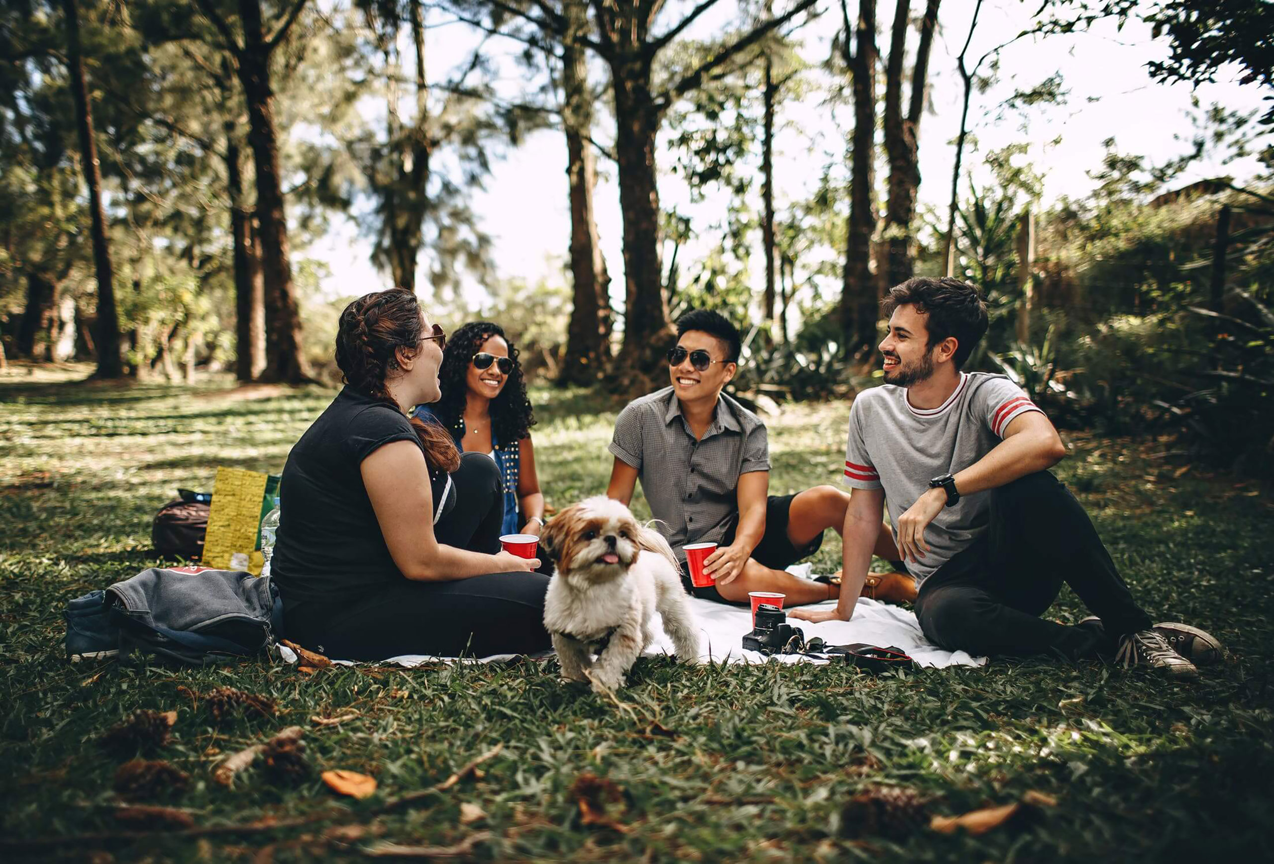 group of chilled out people sat in a glade