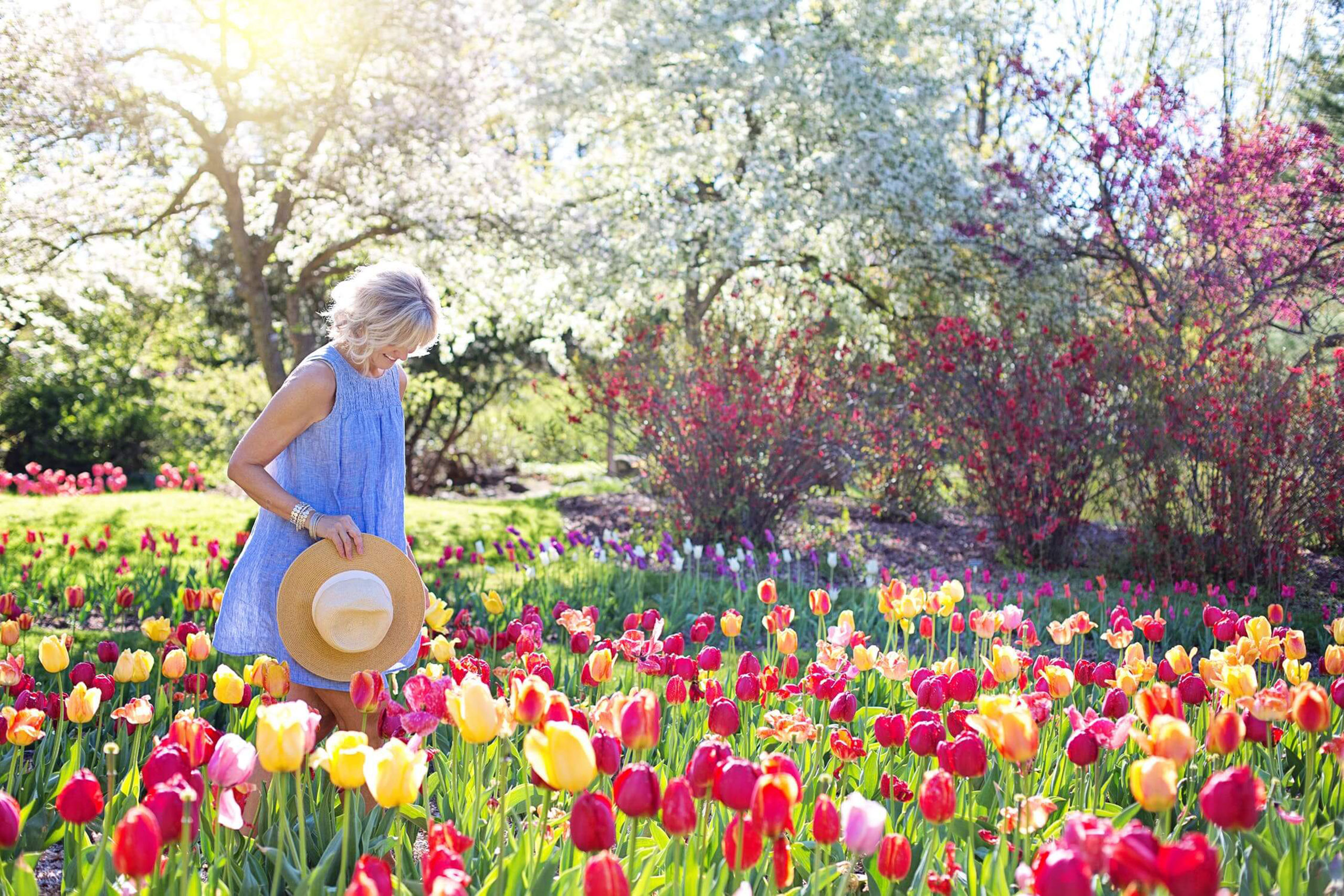 woman in a field of tulips